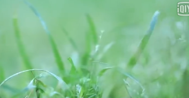 品牌MV